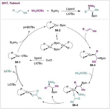 Recent progress in transition-metal-catalysed intermolecular