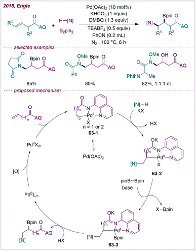 Recent progress in transition-metal-catalysed intermolecular