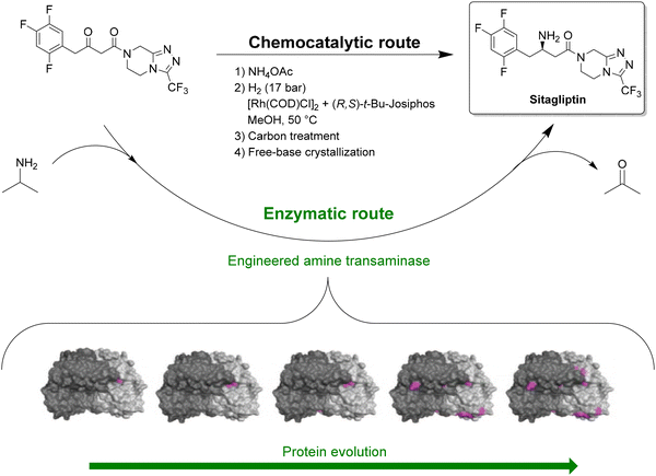 image file: d5cs00929d-f10.tif