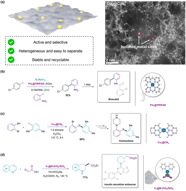 image file: d5cs00929d-f9.tif