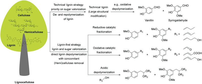 image file: d5cs00929d-s13.tif