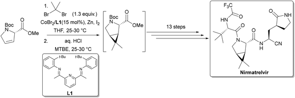 image file: d5cs00929d-s19.tif