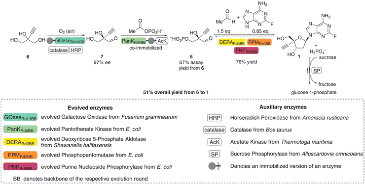 image file: d5cs00929d-s25.tif