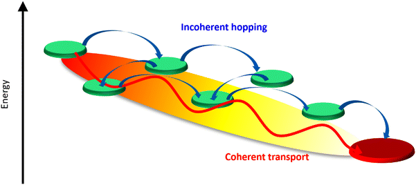 image file: d5cs00948k-f1.tif