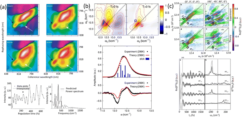 image file: d5cs00948k-f10.tif