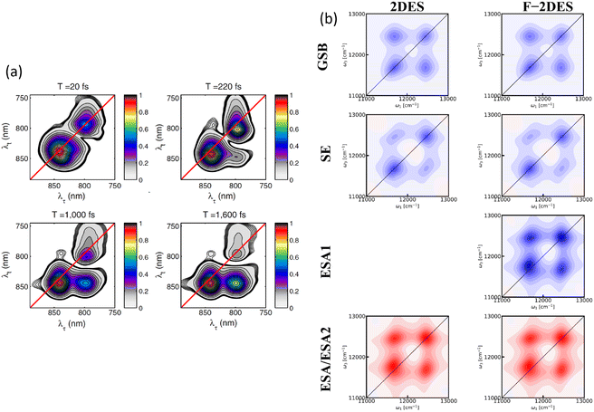 image file: d5cs00948k-f13.tif