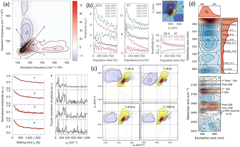 image file: d5cs00948k-f14.tif