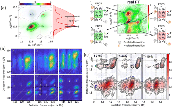 image file: d5cs00948k-f15.tif