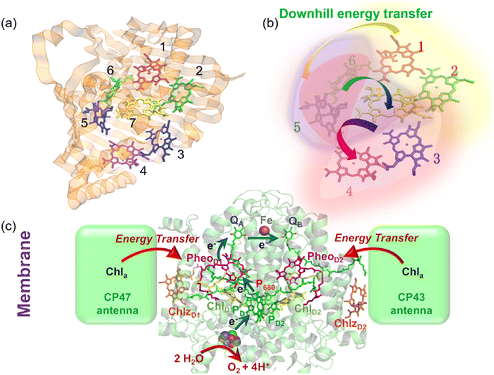 image file: d5cs00948k-f16.tif