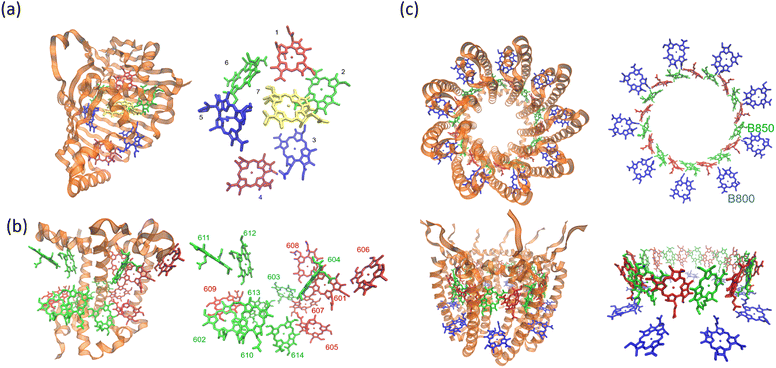 image file: d5cs00948k-f2.tif