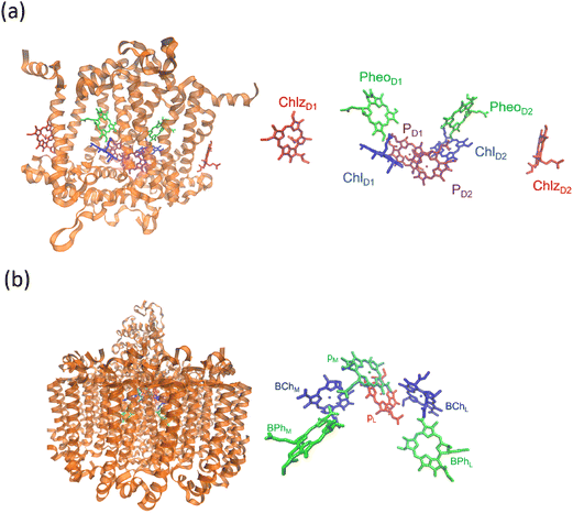 image file: d5cs00948k-f3.tif