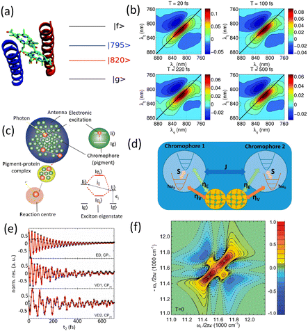 image file: d5cs00948k-f9.tif