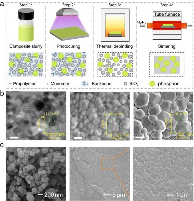 image file: d5cs00957j-f13.tif