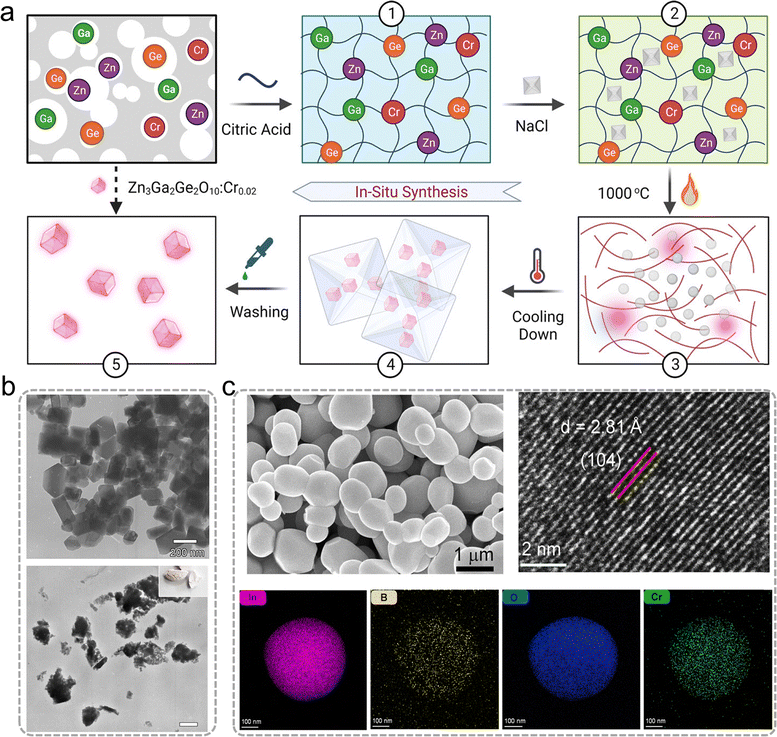 image file: d5cs00957j-f14.tif