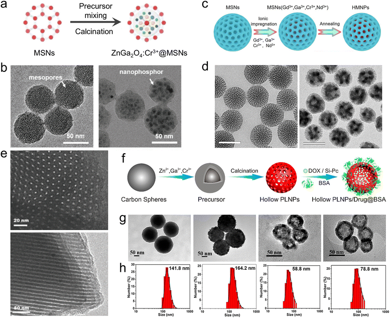 image file: d5cs00957j-f17.tif