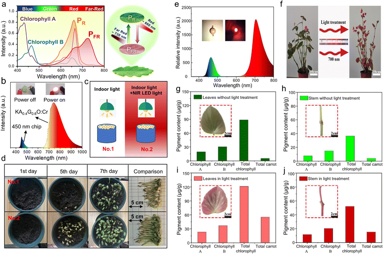 image file: d5cs00957j-f19.tif