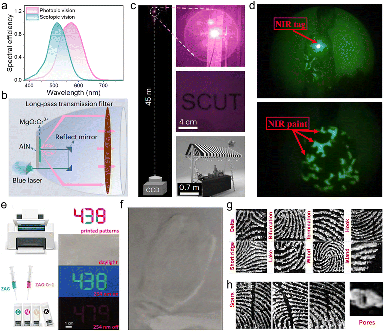 image file: d5cs00957j-f20.tif