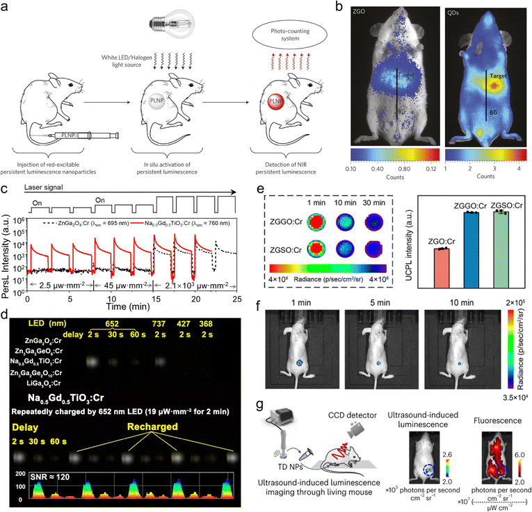image file: d5cs00957j-f21.tif