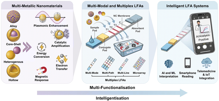 image file: d5cs00963d-f1.tif