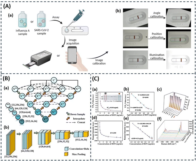 image file: d5cs00963d-f14.tif