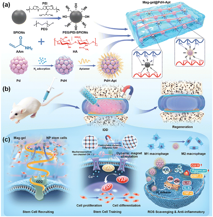 image file: d5cs00975h-f11.tif