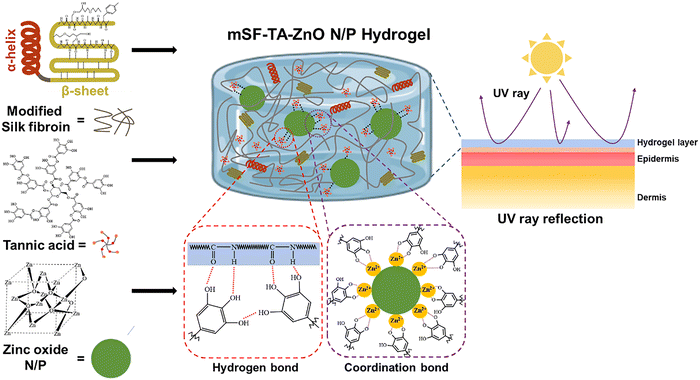 image file: d5cs00975h-f12.tif