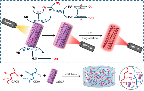 image file: d5cs00975h-f16.tif