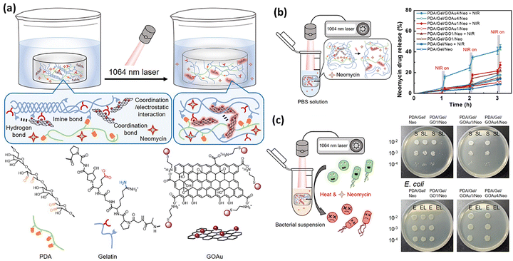 image file: d5cs00975h-f17.tif