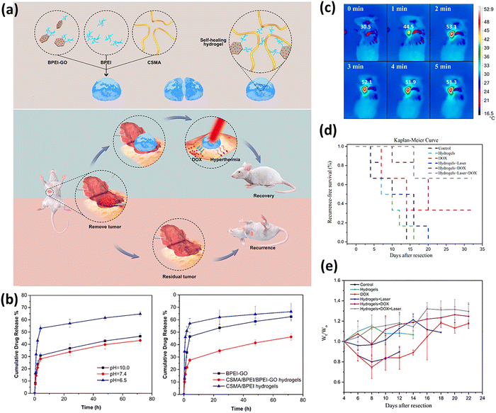 image file: d5cs00975h-f18.tif