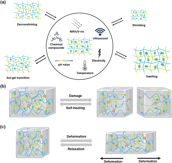 image file: d5cs00975h-f2.tif