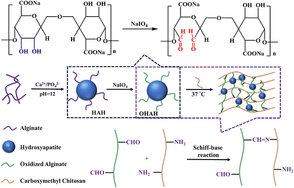 image file: d5cs00975h-f20.tif