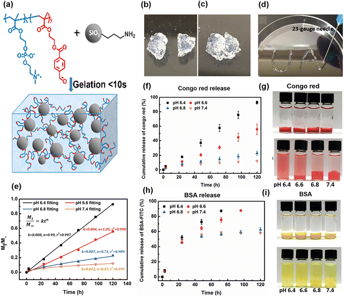 image file: d5cs00975h-f21.tif