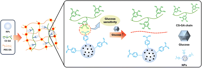image file: d5cs00975h-f22.tif