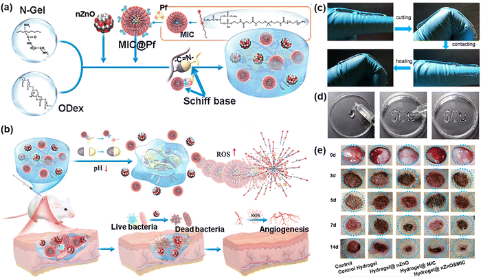 image file: d5cs00975h-f23.tif