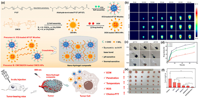 image file: d5cs00975h-f24.tif