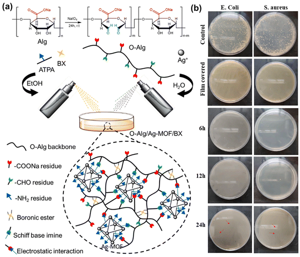 image file: d5cs00975h-f25.tif