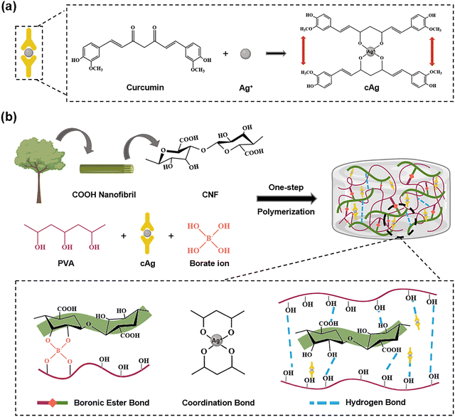 image file: d5cs00975h-f8.tif