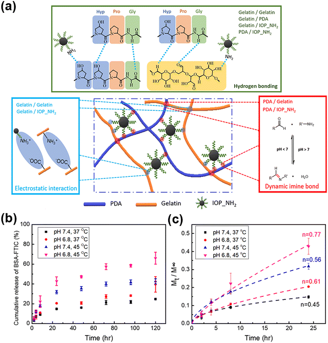 image file: d5cs00975h-f9.tif