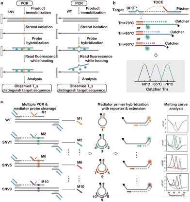 image file: d5cs01006c-f11.tif