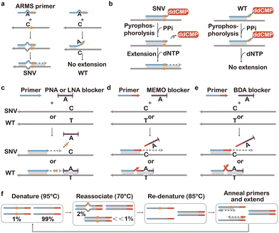 image file: d5cs01006c-f12.tif