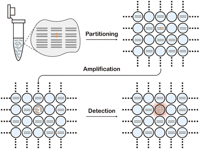 image file: d5cs01006c-f13.tif