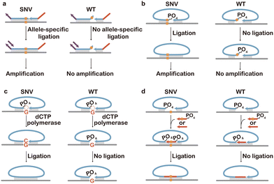 image file: d5cs01006c-f14.tif