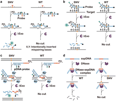 image file: d5cs01006c-f16.tif