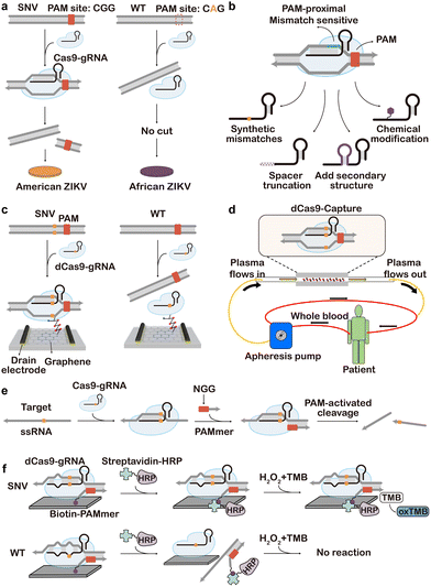 image file: d5cs01006c-f17.tif