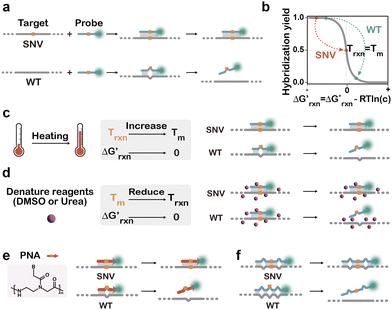 image file: d5cs01006c-f2.tif