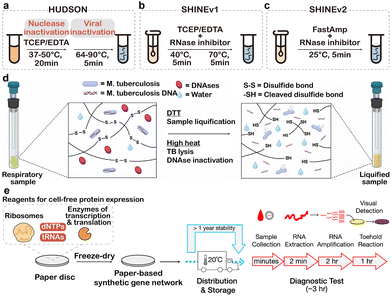 image file: d5cs01006c-f20.tif