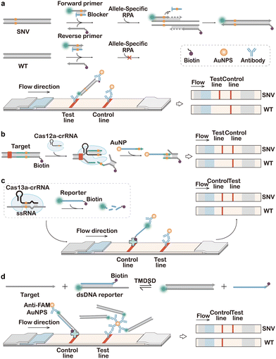 image file: d5cs01006c-f21.tif