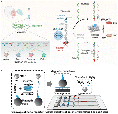 image file: d5cs01006c-f22.tif