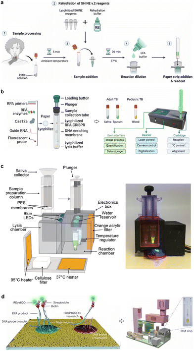 image file: d5cs01006c-f23.tif