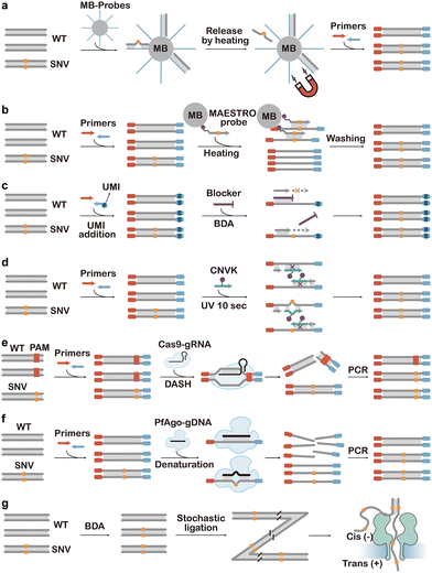 image file: d5cs01006c-f24.tif